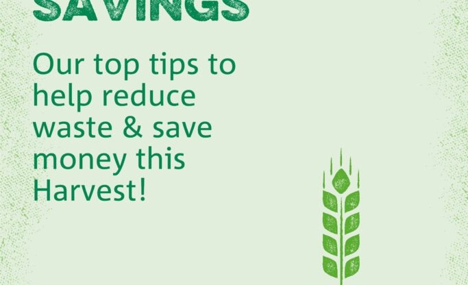 Foodbank green graphic with impression of grain. Reads: Harvest Savings: Our top tips to help reduce waste & save money this Harvest!